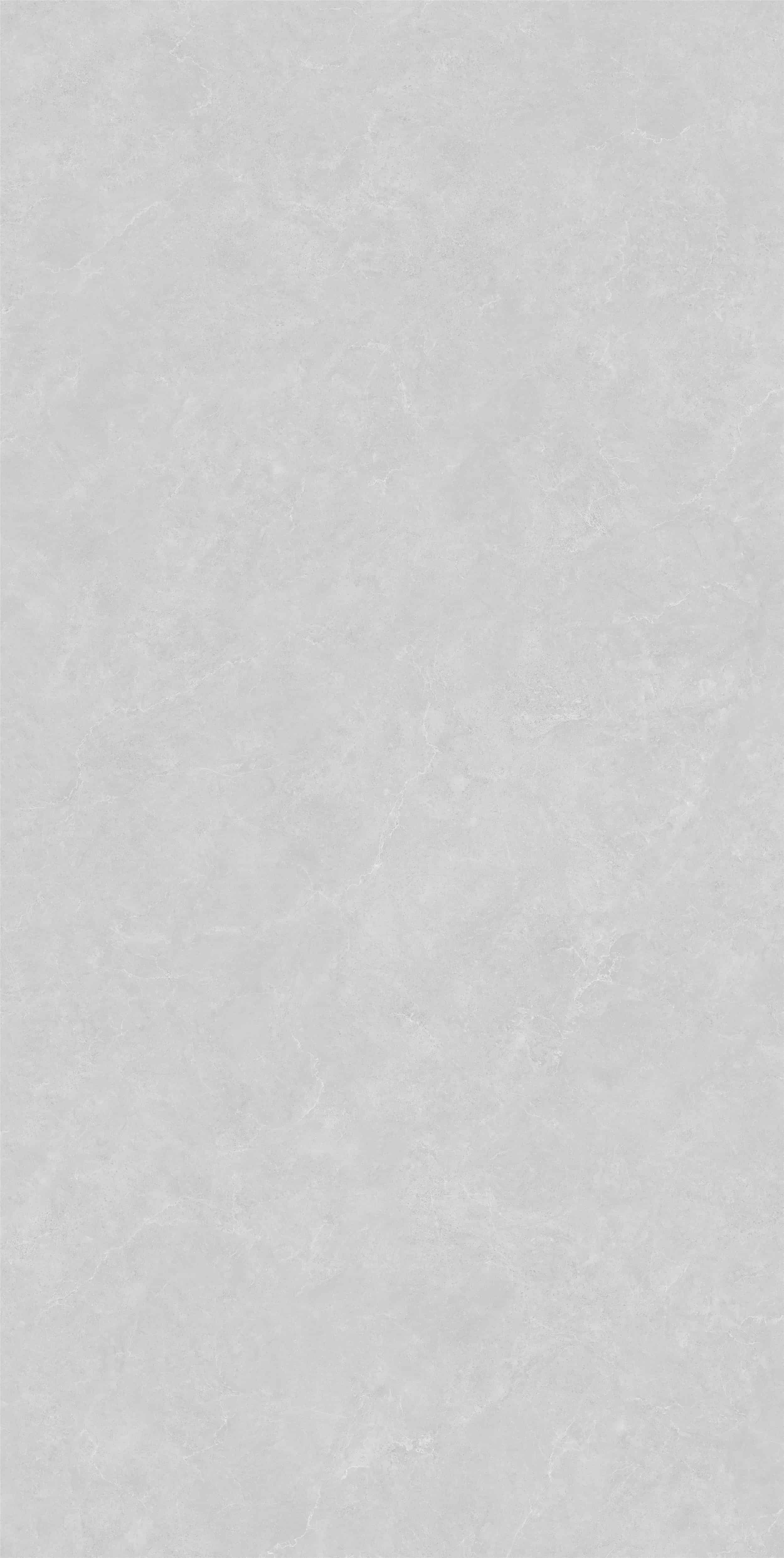 FVC18907_06